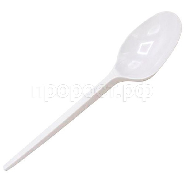 Ложка столовая Компакт 165мм