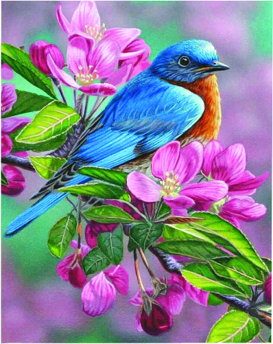 Картина по номерам 40*50 см Птица на ветке