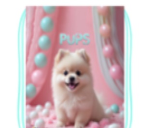 Мешок для обуви Забавный шпиц 41*49см