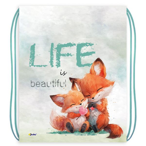 Мешок для обуви Лисички 33*42см