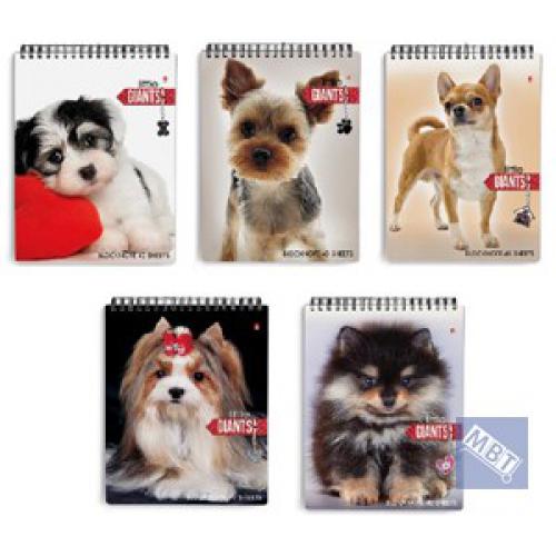 Блокнот/гребень  А6  40л Собаки, 5 видов