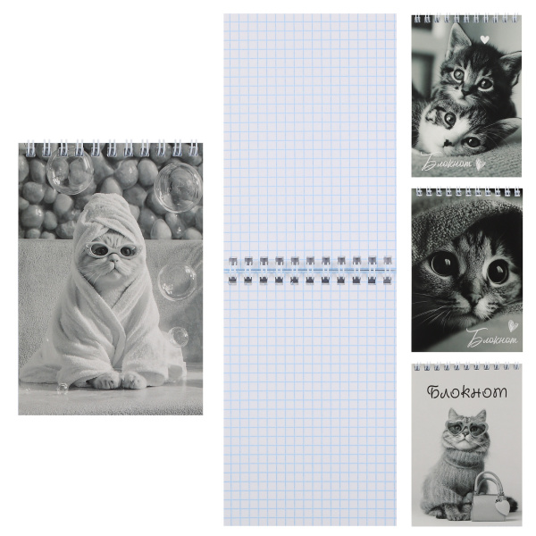 Блокнот/гребень  А6  40л Коты