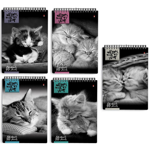 Блокнот/гребень  А5 40л Кошки