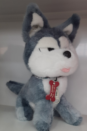 Игрушка мягкая Хаски с ожерельем 35см