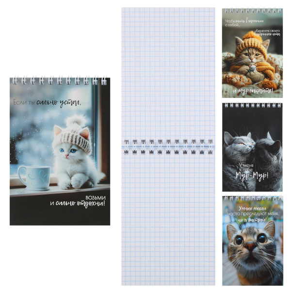 Блокнот/гребень  А6  40л Кошачья жизнь