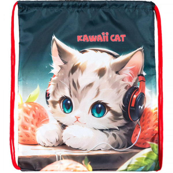 Мешок для обуви Kawaii Cat 35*43см