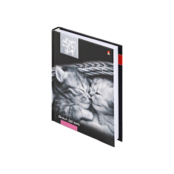 Бизнес-блокнот А6 160л 7БЦ Котята мур-мур АКЦИЯ