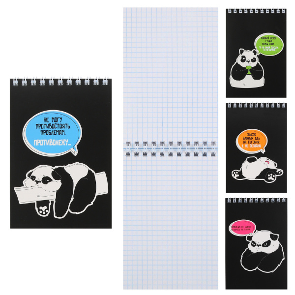 Блокнот/гребень  А6  40л Панда