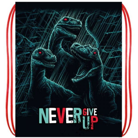 Мешок для обуви Три динозавра,  370*470