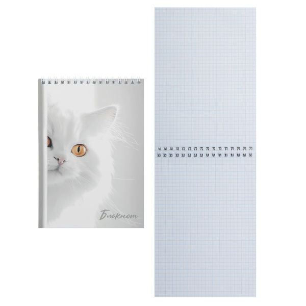 Блокнот/гребень  А5 60л Белый котик
