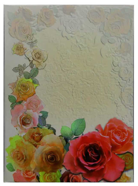 Папка адресная "С Днем рождения" настроение1