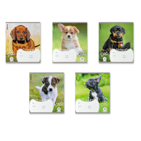 Тетрадь 12л клетка Щенки