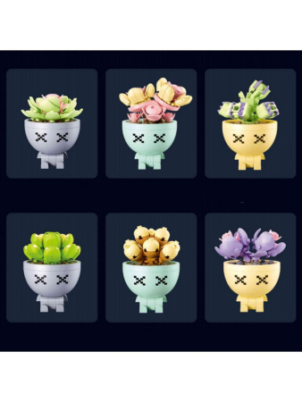 Конструктор  Суккуленты в горшочках