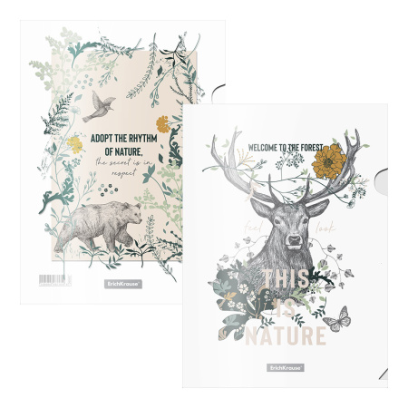 Папка уголок Natural Life, набор 4шт ассорти АКЦИЯ