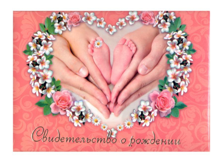 Папка Св-во о рождении А5 Пяточки с файлом