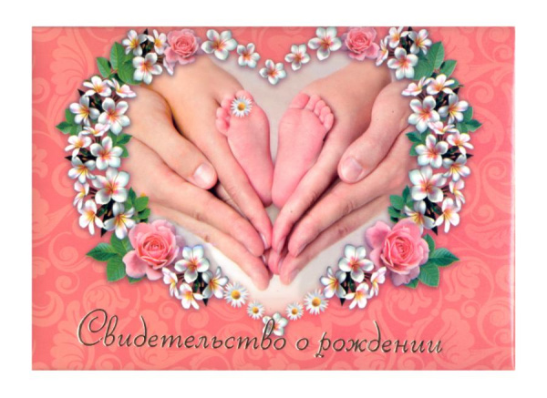 Папка Св-во о рождении А5 Пяточки с файлом