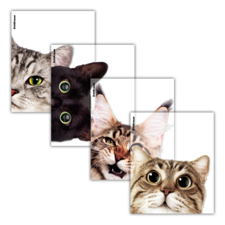 Обложка /днев, тетр  ПВХ  80мкм 212*347мм Hiding Cats, 12шт