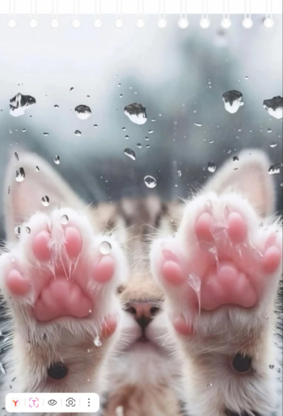 Блокнот/гребень  А6  40л Лапки