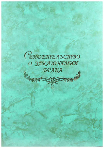 Папка Св-во о браке А4 Гроза зеленая с файлом