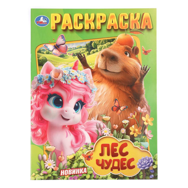 Раскраска А4 Лес чудес
