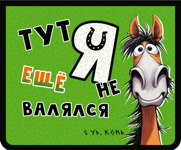 Папка д/тетр  А5  на молнии  Веселый конь