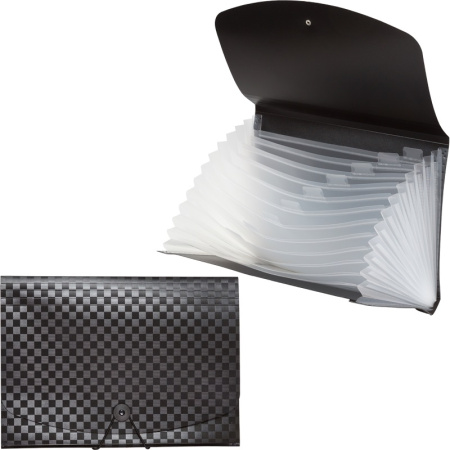 Папка пластик А4 12отд. Total Black