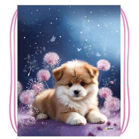 Мешок для обуви Лучший друг 33*42см