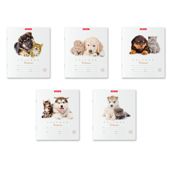 Тетрадь 12л клетка Дружба