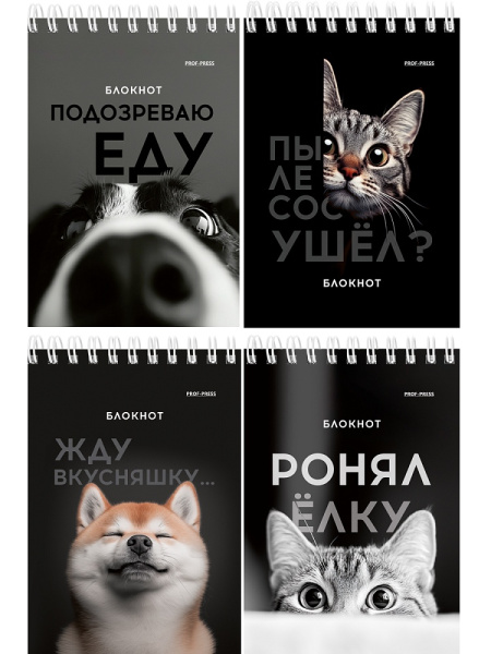 Блокнот/гребень  А6  40л Смешные питомцы